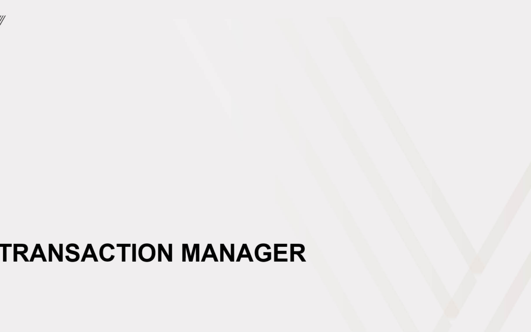 Transaction Manager – Acquisitions & Financing