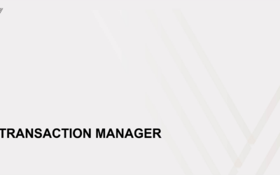 Transaction Manager – Acquisitions & Financing